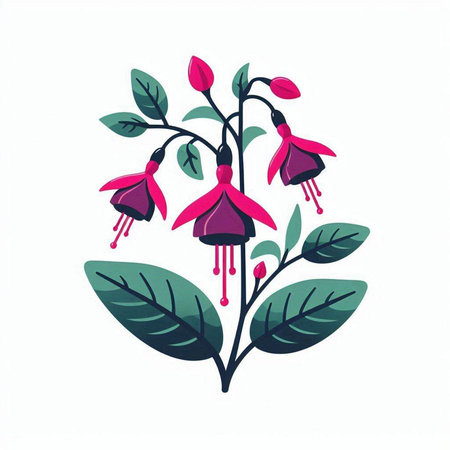 Fuchsia flowers isolated on a white background. Vector illustration.のイラスト素材