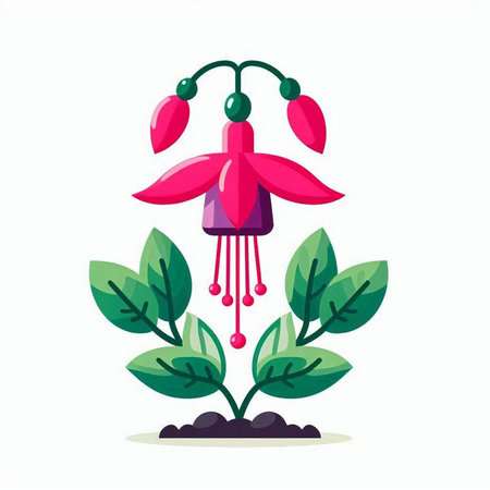 Fuchsia flower and leaves. Vector illustration in flat style.のイラスト素材
