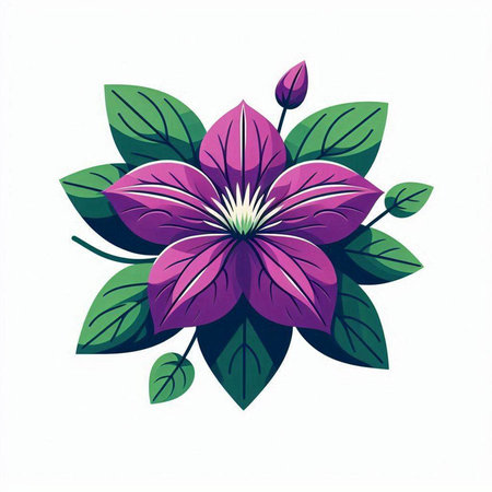 Beautiful purple clematis isolated on white background. Vector illustration.のイラスト素材