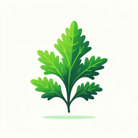 Green leaves of parsley on a light background. Vector illustration.のイラスト素材