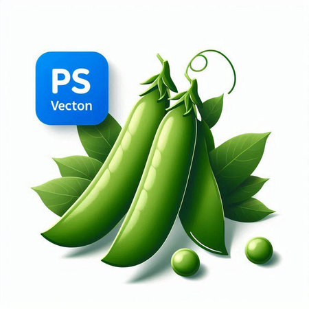 Pea pods with green leaves on white background. Vector illustration.のイラスト素材