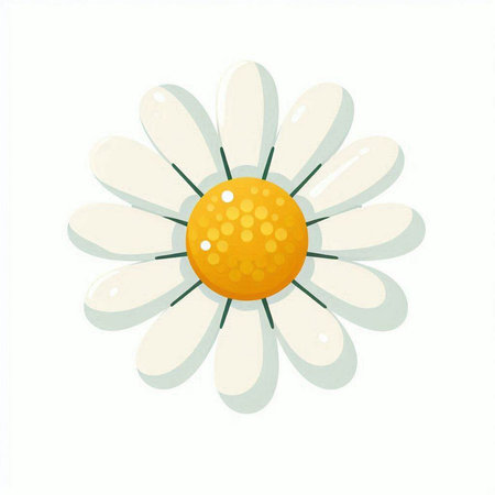 Daisy flower isolated on white background. Vector illustration. EPS 10のイラスト素材