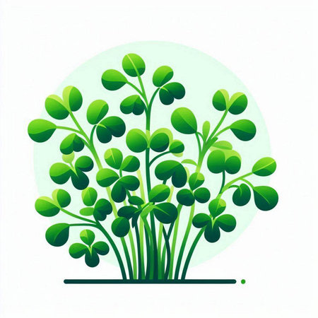 Microgreens on a white background. Vector illustration. Green sprouts.のイラスト素材