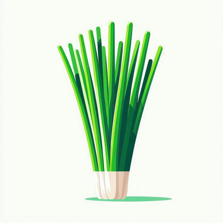 green onion isolated on white background, vector illustration in flat style.のイラスト素材
