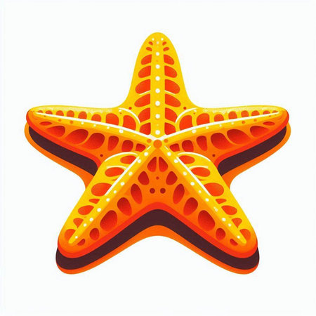 Starfish isolated on a white background. Vector illustration in cartoon style.のイラスト素材