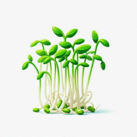 Microgreens germinated on a white background. Vector illustration.のイラスト素材