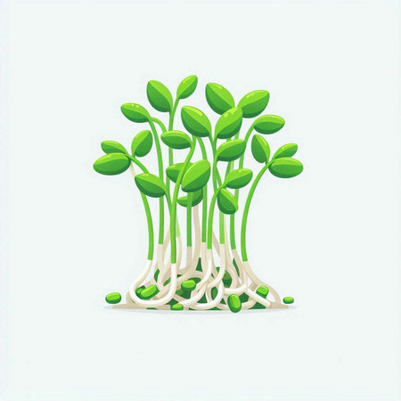 Microgreens. Green sprouts on a white background. Vector illustration.のイラスト素材