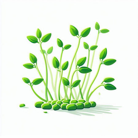 Sprouts of green peas on a white background. Vector illustration.のイラスト素材