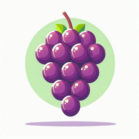Grapes on a white background. Vector illustration in a flat style.のイラスト素材