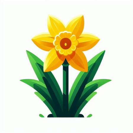 Yellow daffodil on a white background. Vector illustration.のイラスト素材