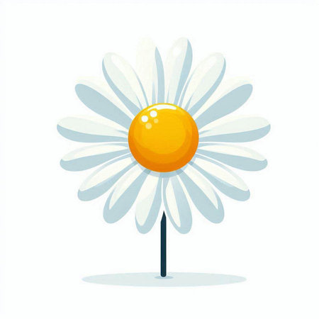 Daisy isolated on white background. Vector illustration. Eps 10.のイラスト素材