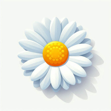 White daisy on a white background. Vector illustration for your designのイラスト素材