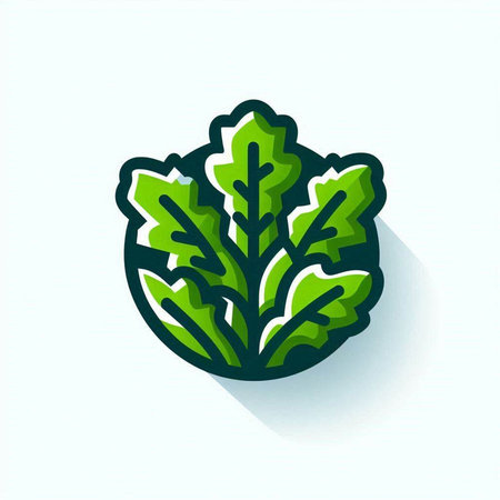 Cabbage icon, vector illustration. Flat design style with long shadowのイラスト素材