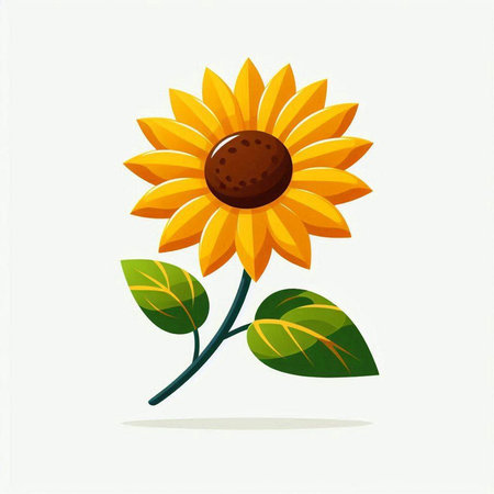 Sunflower with green leaves on a white background. Vector illustration.のイラスト素材