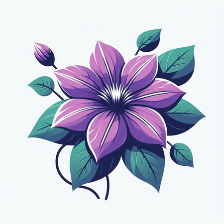 Beautiful purple clematis flower on white background. Vector illustration.のイラスト素材