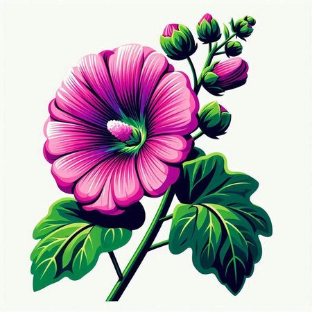 Illustration of a pink hollyhock flower on a white backgroundのイラスト素材