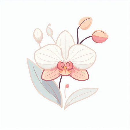 Beautiful white orchid with leaves on a white background. Vector illustration.のイラスト素材