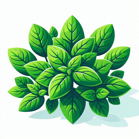 Green leaves on a white background. Vector illustration. Eps 10.のイラスト素材
