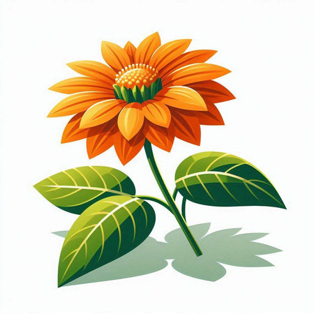 Illustration of orange sunflower on white background. Vector illustration.のイラスト素材