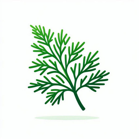Dill. Vector illustration. Isolated on a white background.のイラスト素材