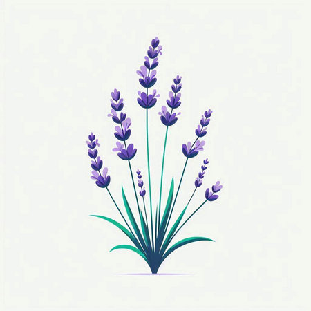 Lavender flower vector illustration. Vector illustration of lavender flower.のイラスト素材