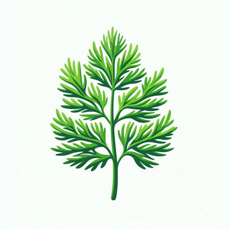 green dill leaves over white background, colorful design. vector illustrationのイラスト素材