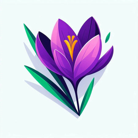 Purple crocus flower on a white background. Vector illustration.のイラスト素材