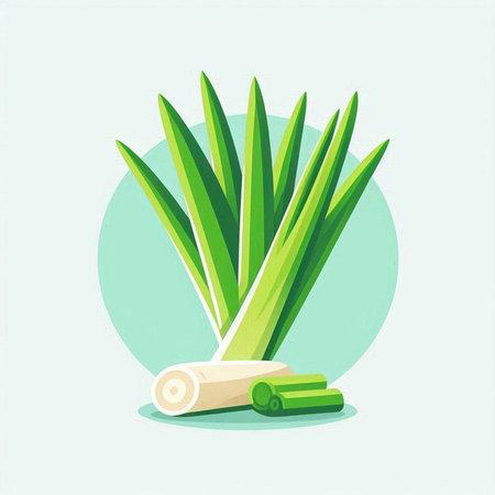 Lemongrass. Vector illustration, flat cartoon style.のイラスト素材