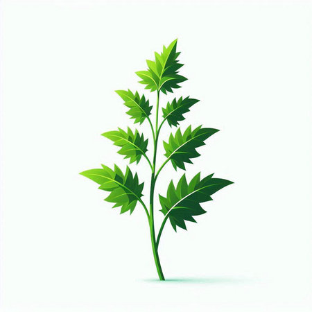 Green leaves on a white background. Vector illustration. Eps 10.のイラスト素材