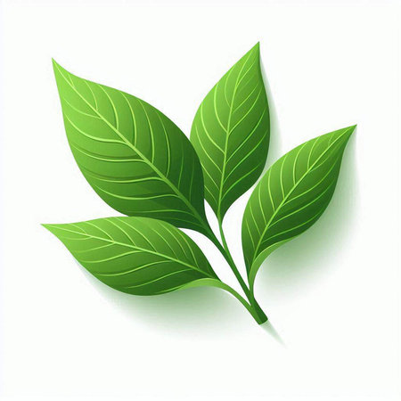 Green leaves on a white background. Vector illustration. Eps 10.のイラスト素材