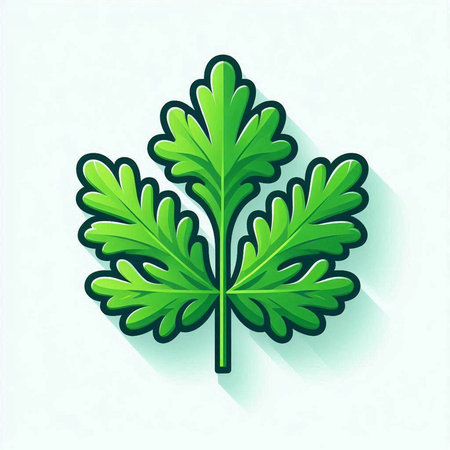 Parsley icon with long shadow. Vector illustration. Green leaf.のイラスト素材