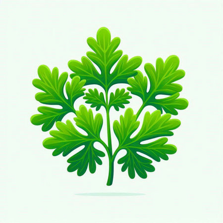 Parsley leaves isolated on white background. Vector Illustration.のイラスト素材
