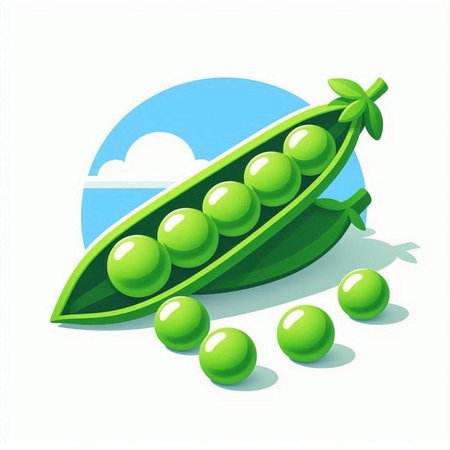 Green peas on a background of the blue sky. Vector illustration.のイラスト素材