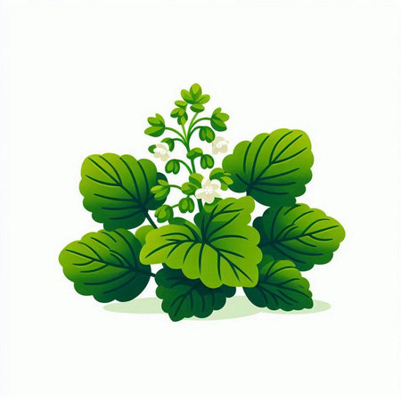 Bunch of green leaves isolated on white background. Vector illustration.のイラスト素材