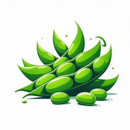 Aloe vera plant isolated on white background. Vector illustration.のイラスト素材