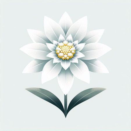 White dahlia flower with leaves on a light background. Vector illustration.のイラスト素材