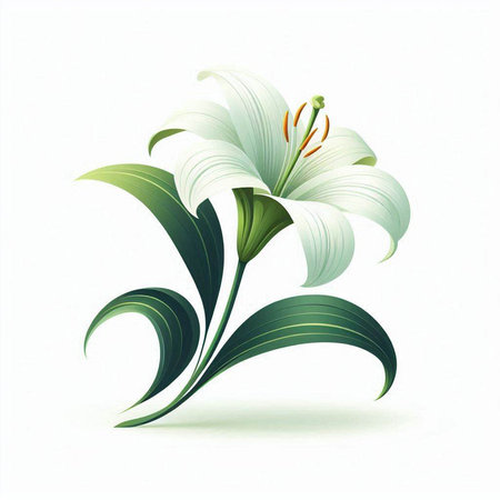 White lily flower with green leaves isolated on white background. Vector illustration.のイラスト素材
