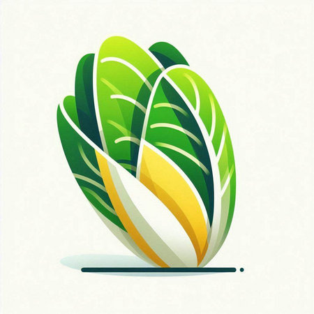 Green leaves of radicchio. Vector design element for your businessのイラスト素材