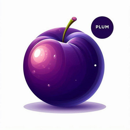 Plum vector illustration. Fresh fruit isolated on white background. Juicy purple plum.のイラスト素材