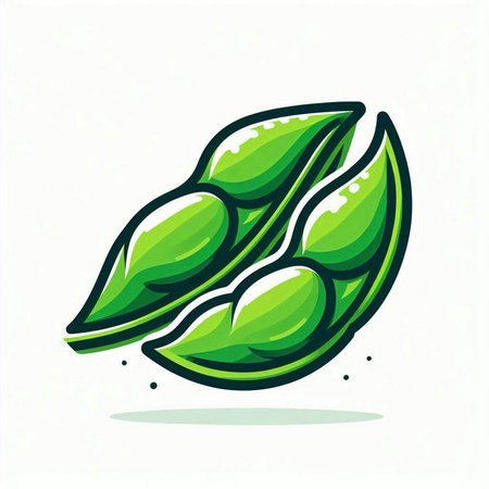 Soybean logo. Vector illustration of green soybean icon.のイラスト素材