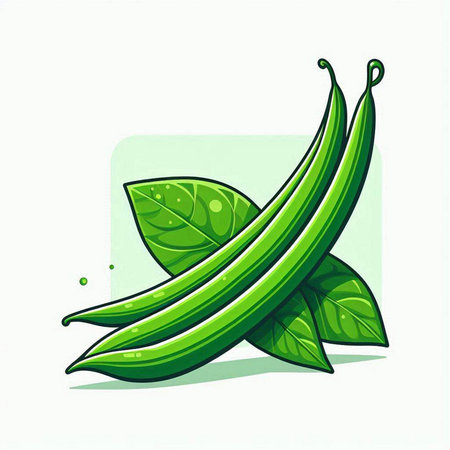 Green beans with leaves isolated on a white background. Vector illustration.のイラスト素材