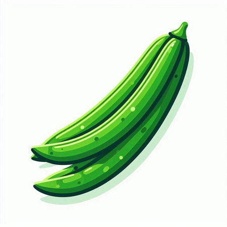 Cucumber icon isolated on white background. Vector illustration of cucumber.のイラスト素材