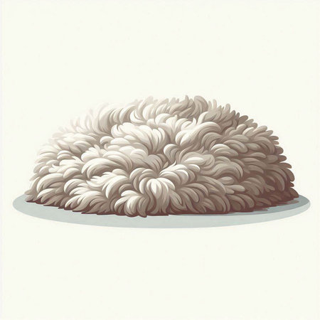 Illustration of a fluffy sheep on a white background. Vector illustrationのイラスト素材