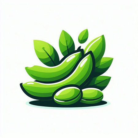 Bunch of green bananas with green leaves isolated on white background. Vector illustration.のイラスト素材