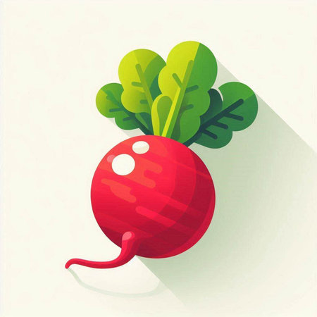 Radish icon with long shadow. Vector illustration on white background.のイラスト素材