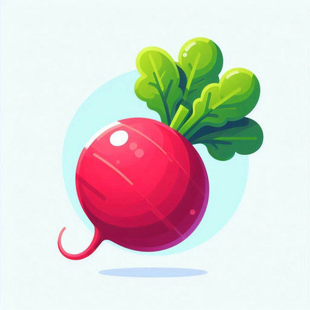 Radish vector icon. Radish vector icon. Radish vector iconのイラスト素材