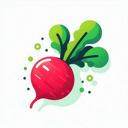 Radish with green leaves and drops of water. Vector illustration.のイラスト素材