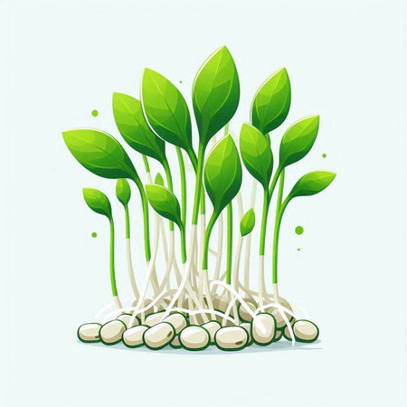 Sprouts of soybean on white background. Vector illustration for your designのイラスト素材