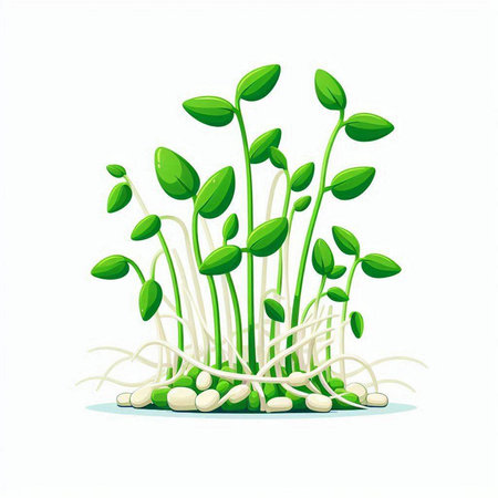 Sprouts of young green cress isolated on white background. Vector illustration.のイラスト素材