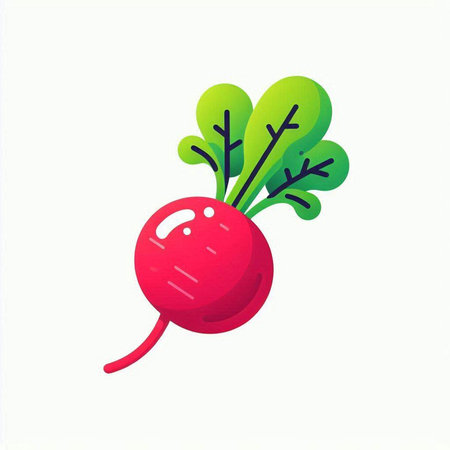 Radish icon isolated on white background. Vector illustration. Eps 10.のイラスト素材
